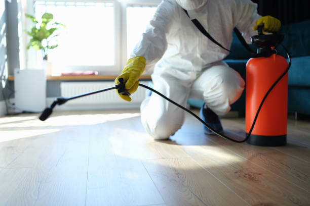 Reliable Biohazard Cleanup contractor in Lebanon, OR by Trauma Clean Pros